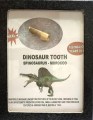 spinosaur tooth 69